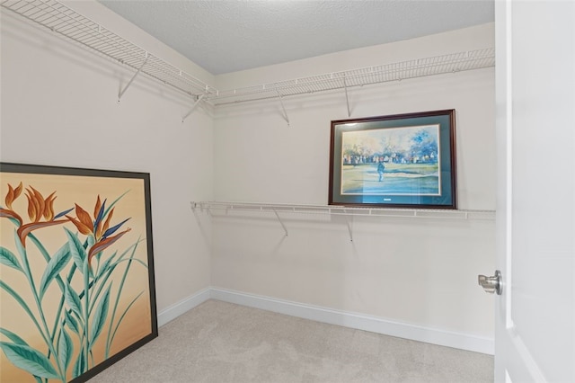 spacious closet featuring light carpet