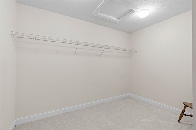 walk in closet featuring light carpet