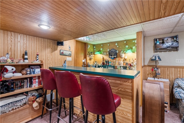 bar with wooden walls and carpet