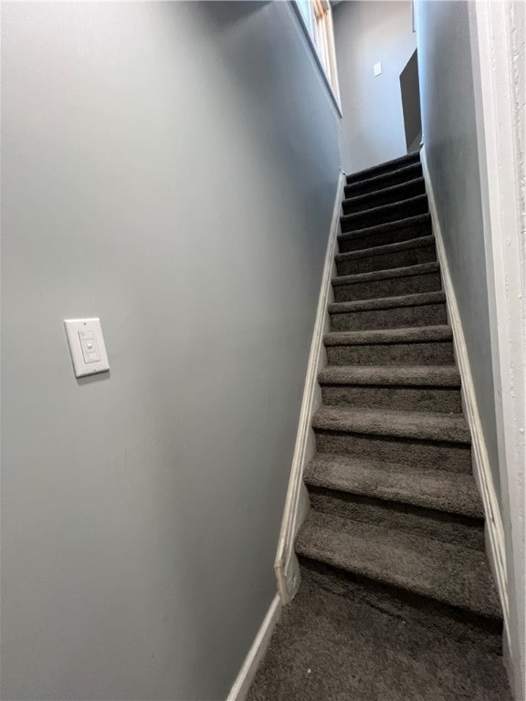 stairs featuring carpet