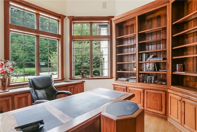 office area featuring light hardwood / wood-style floors and a healthy amount of sunlight