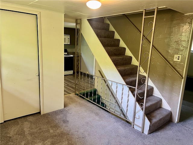 stairway with carpet floors