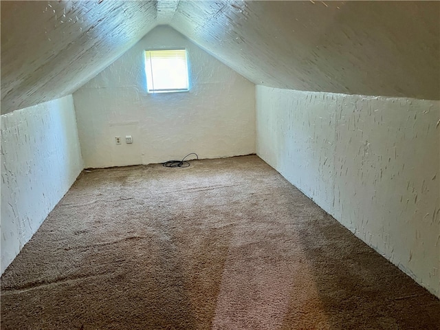 additional living space with carpet and vaulted ceiling