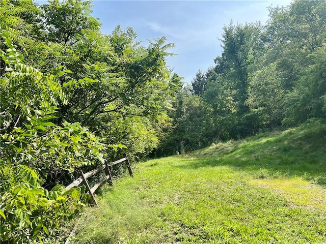 1611 Crawford Rd, North Fayette, PA 15126 - view of yard with a wooded view