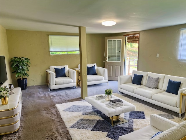 living room featuring carpet flooring