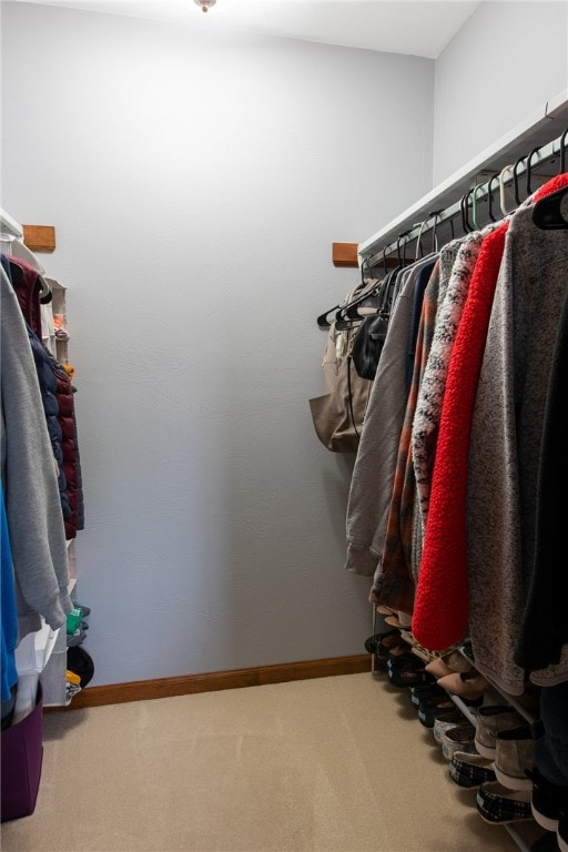 spacious closet with carpet