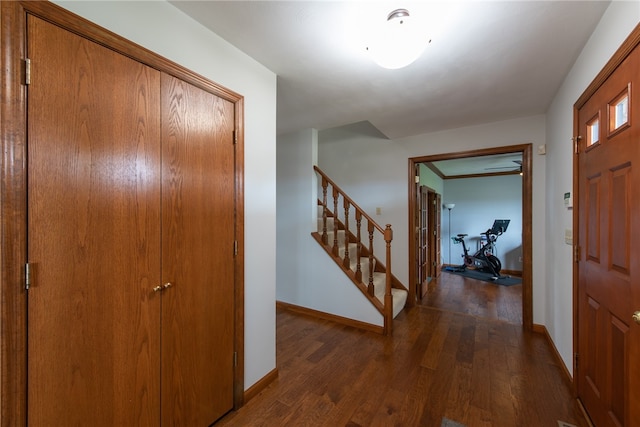 entrance foyer featuring dark hardwood / wood-style floors