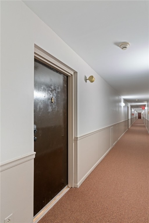 hall featuring carpet flooring