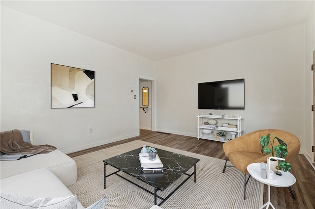 living room with wood-type flooring