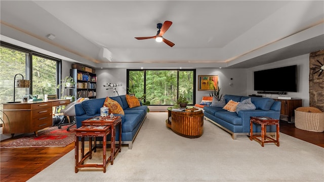 living room featuring a tray ceiling, hardwood / wood-style floors, and ceiling fan