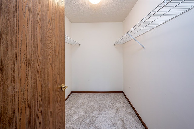 walk in closet featuring light carpet