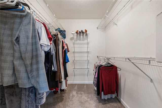 spacious closet featuring carpet floors