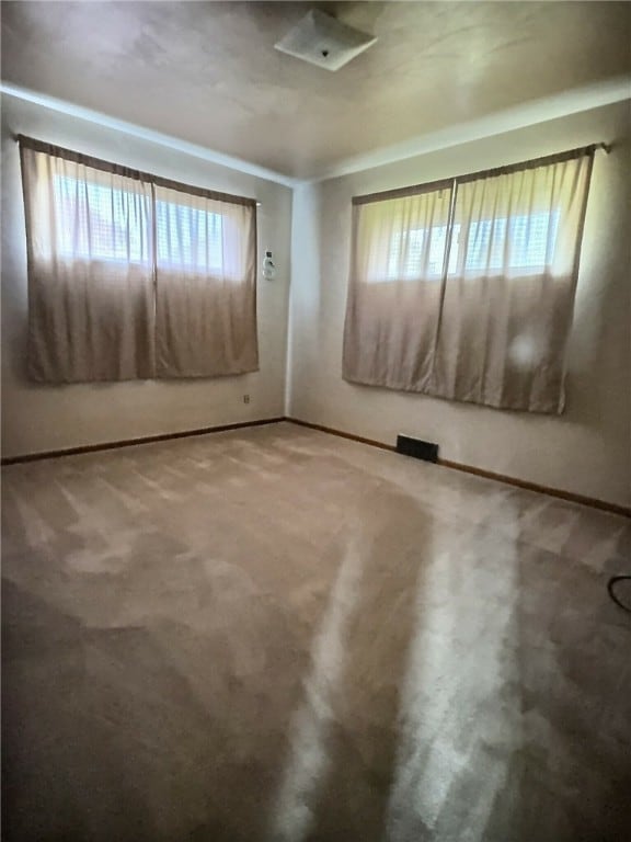 carpeted empty room with a wealth of natural light