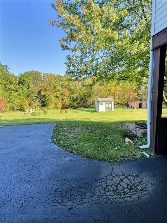 view of yard with a storage unit