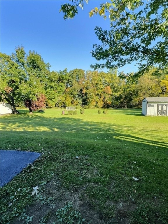 view of yard featuring a shed