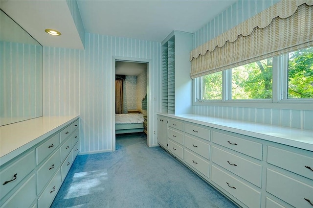 spacious closet with light carpet