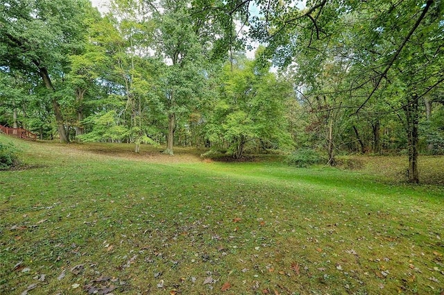 view of green lawn with a view of trees