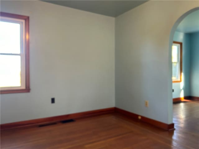 spare room featuring a healthy amount of sunlight and dark wood-type flooring