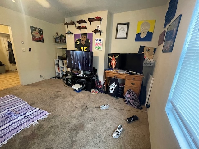 living room with carpet floors