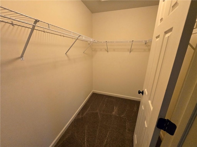 spacious closet with dark colored carpet