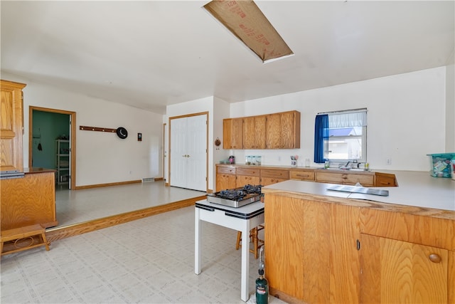 kitchen with stainless steel gas stovetop and sink