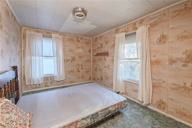 unfurnished bedroom with multiple windows and carpet floors