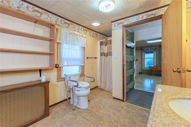 bathroom with vanity, toilet, and walk in shower