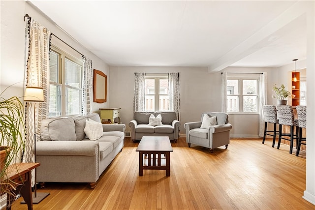 living room featuring light hardwood / wood-style flooring