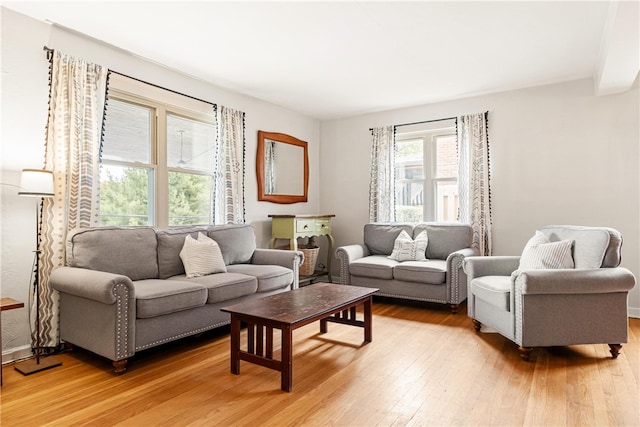 living room with light hardwood / wood-style flooring