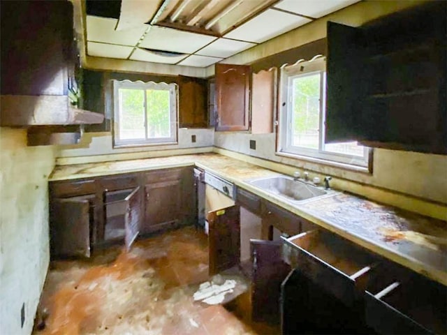 kitchen with plenty of natural light, light countertops, a sink, and range hood