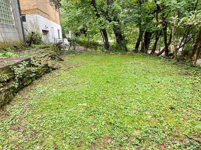 view of yard
