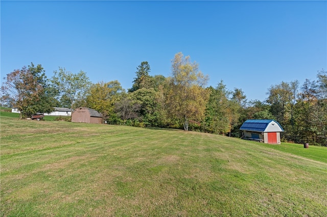 view of yard featuring an outdoor structure