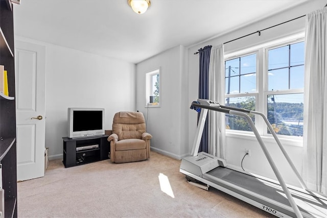 workout room featuring light colored carpet and a wealth of natural light