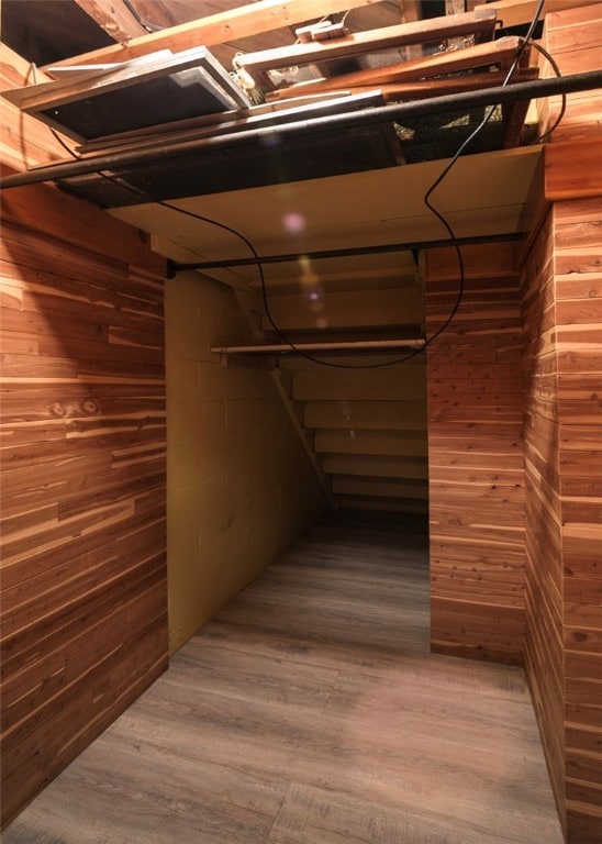 basement featuring wood walls and wood-type flooring