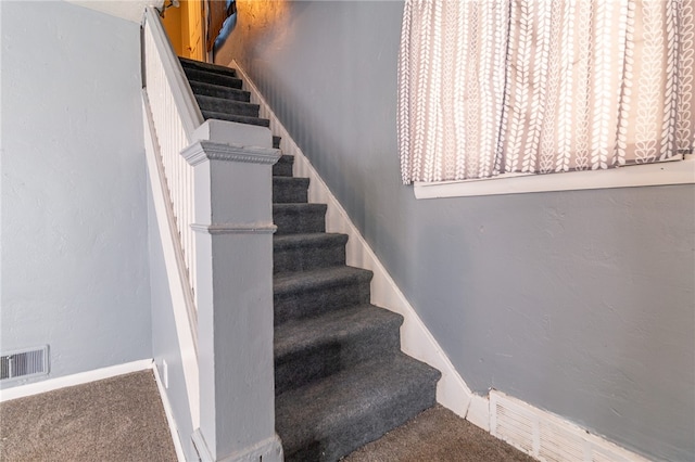 staircase featuring carpet flooring