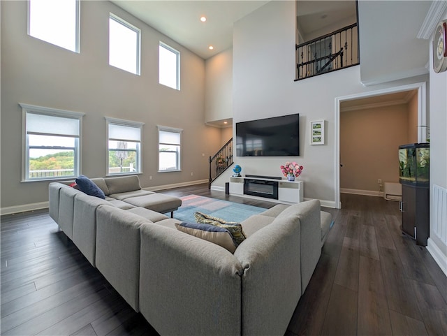 living room featuring a high ceiling and dark hardwood / wood-style flooring