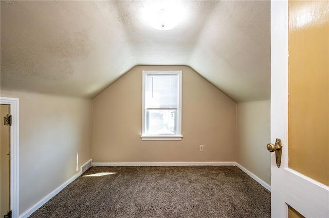 additional living space with lofted ceiling, a textured ceiling, and carpet flooring