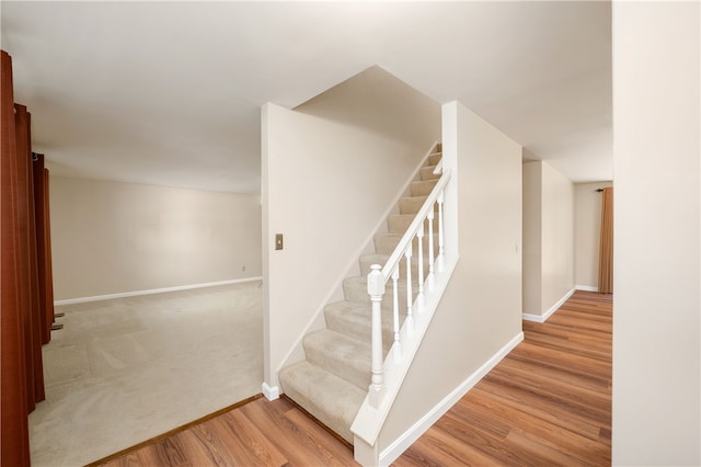 staircase featuring wood-type flooring