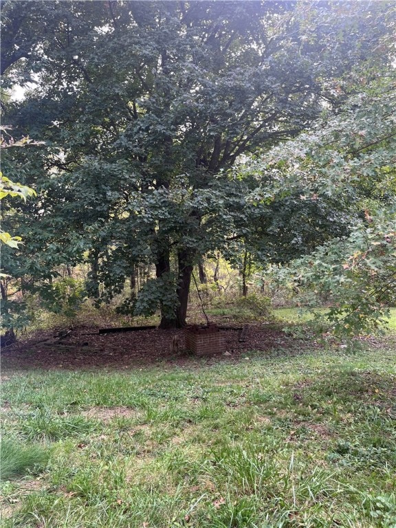 view of local wilderness