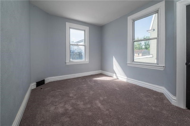 spare room with a wealth of natural light and carpet flooring