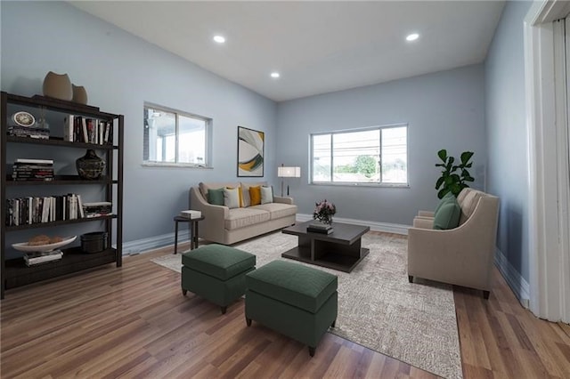 living room featuring hardwood / wood-style flooring