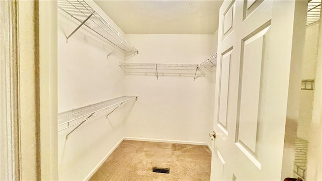 walk in closet featuring carpet flooring