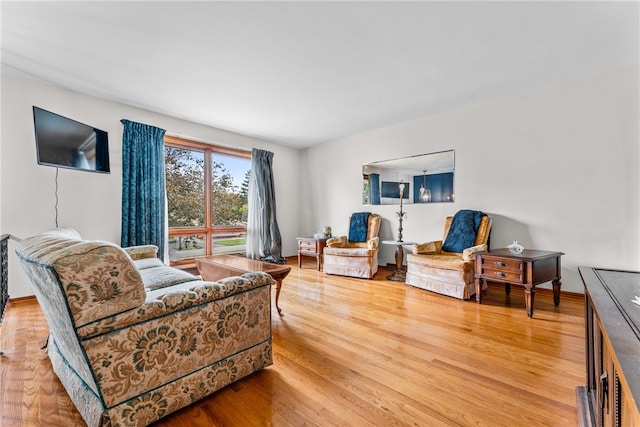 living room with hardwood / wood-style floors