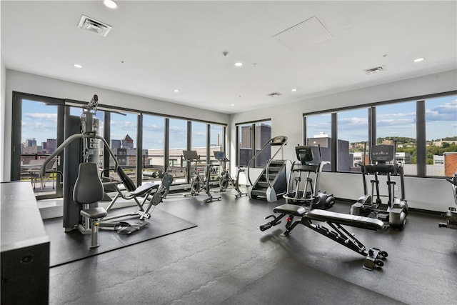 exercise room featuring a wealth of natural light