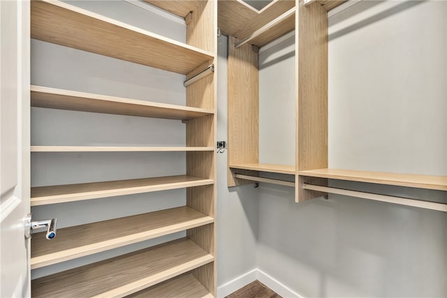 walk in closet with hardwood / wood-style flooring