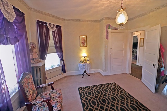 sitting room featuring carpet floors