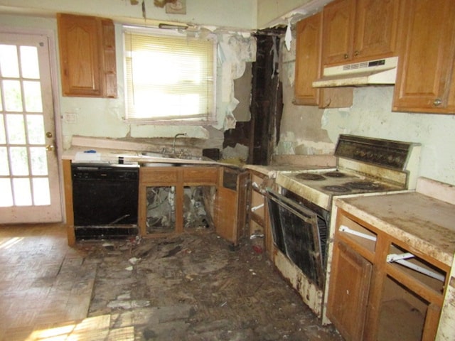 kitchen featuring white electric range oven, plenty of natural light, sink, and black dishwasher