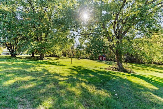 view of yard featuring a shed