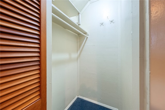 spacious closet featuring carpet floors