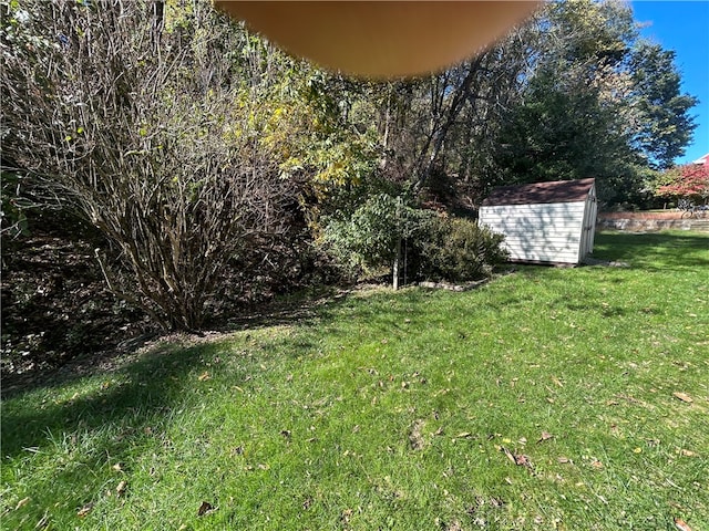 view of yard with a storage shed